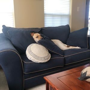 Meet your Posher, Alex